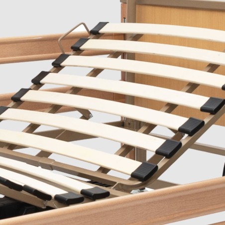 Cama Articulada Eléctrica Antares