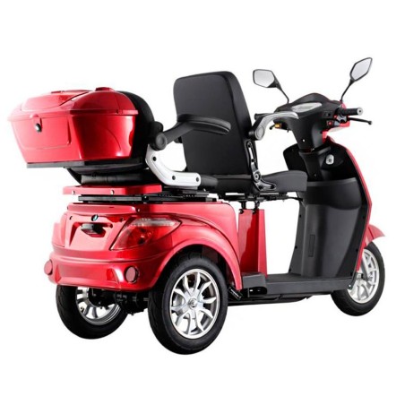 Scooter Eléctrico Doble Assistant III