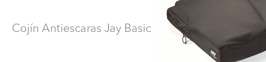 cojin-jay-basic