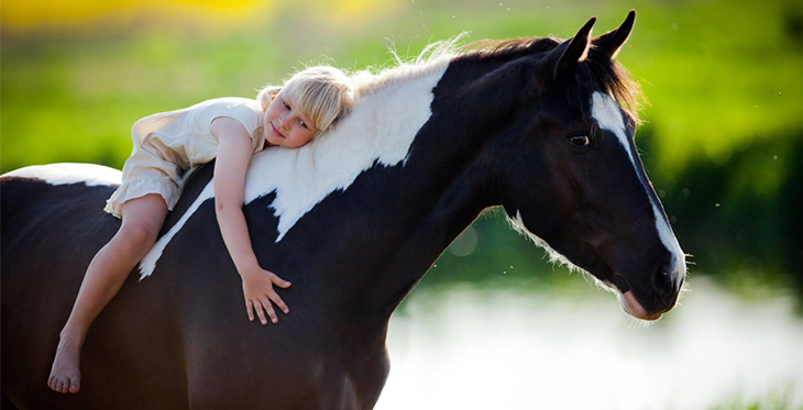 Equinoterapia, caballos que curan