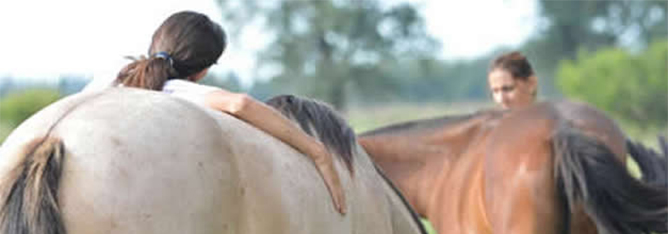 tecnicas-terapia-caballos