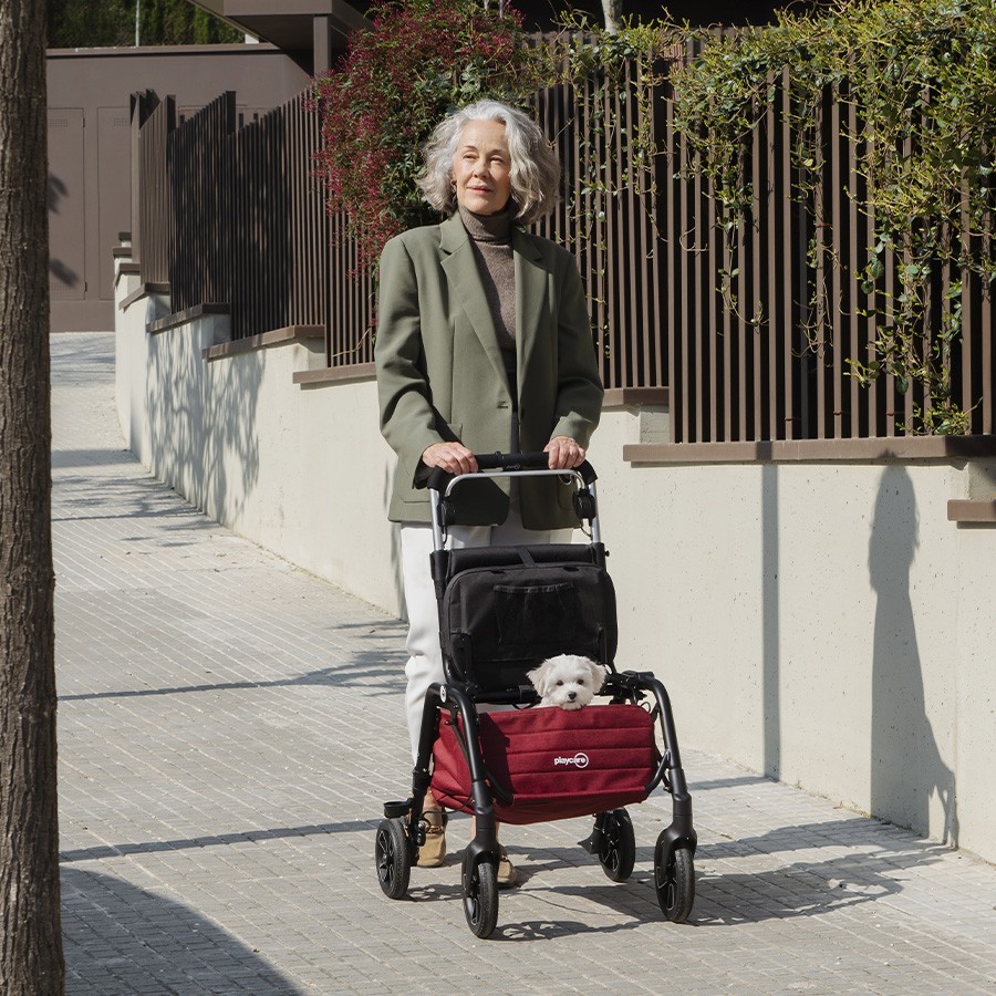 andador para mayores con cesta grande