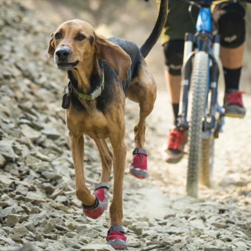 Botas para perros senderismo Botas todoterreno para perros