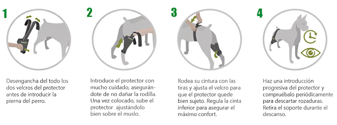 Cómo colocar la rodillera en la pata trasera del perro