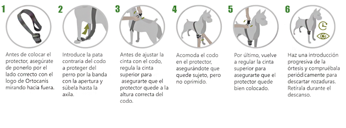 Colocación del soporte de codo para perros
