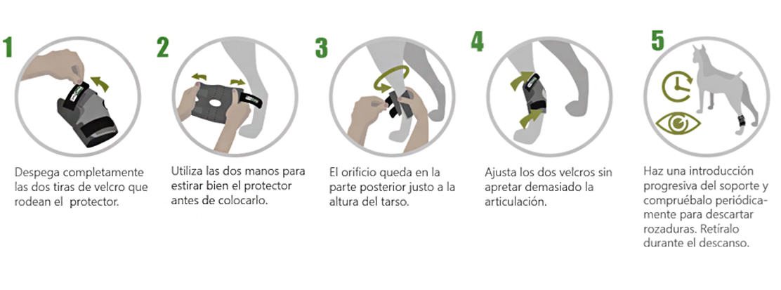 Cómo colocar soporte de tarso para perros