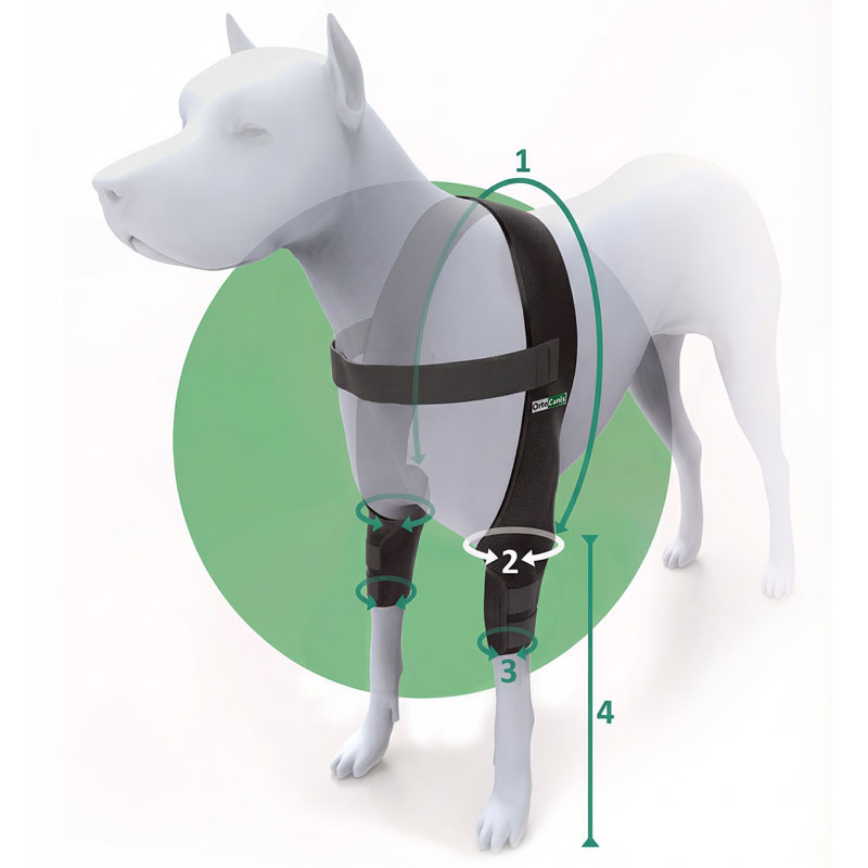 Ortesis de codo para perros