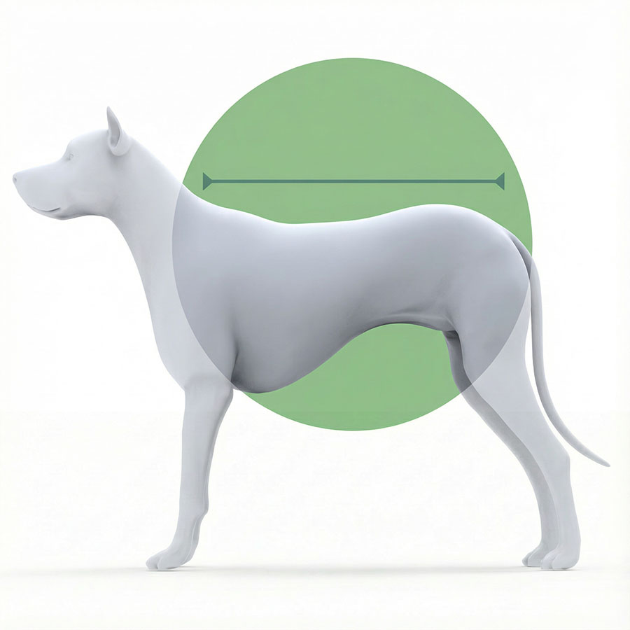 Body postoperatorio para perros