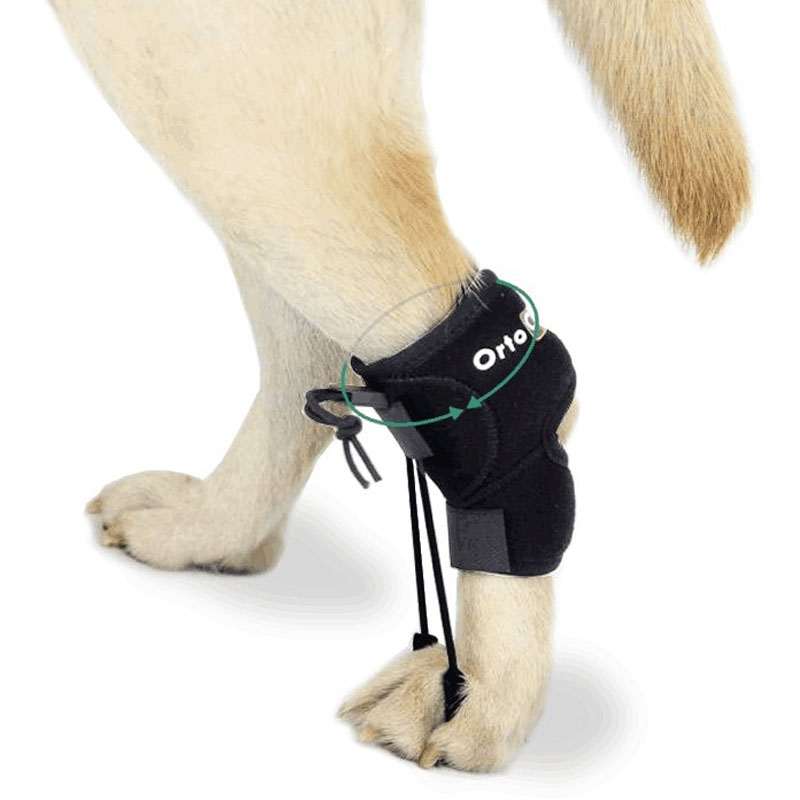 Corrector para andar canino Ayuda para corregir el paso en perros