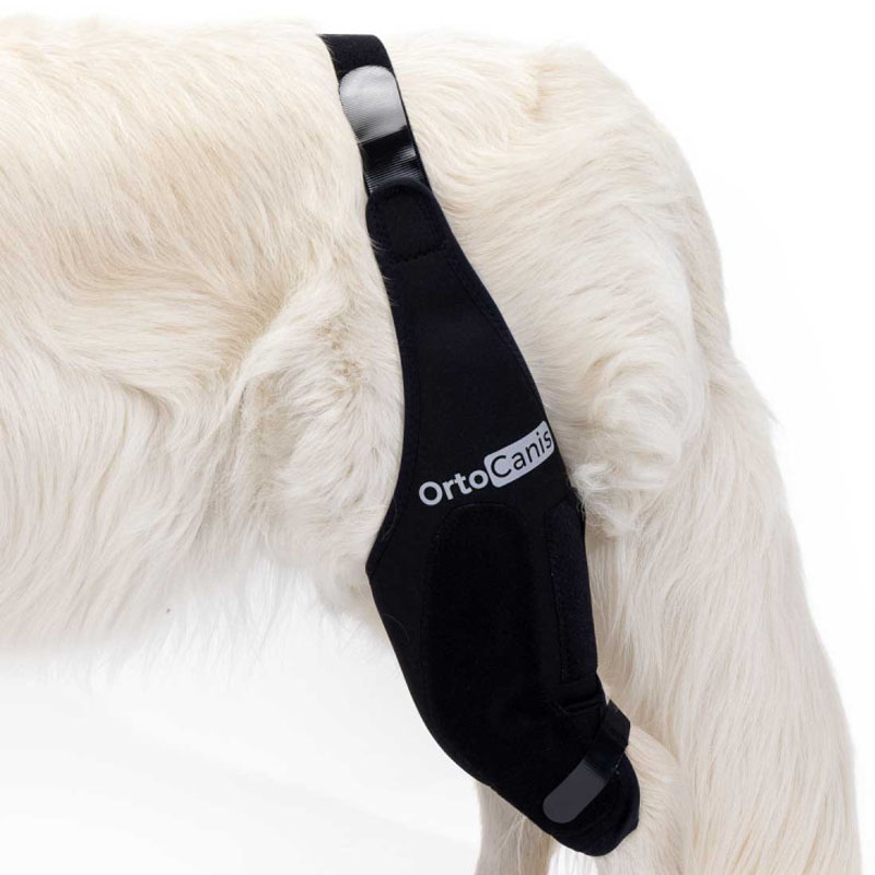 Inmovilizador de rodilla para perro Ortesis para rodilla canina