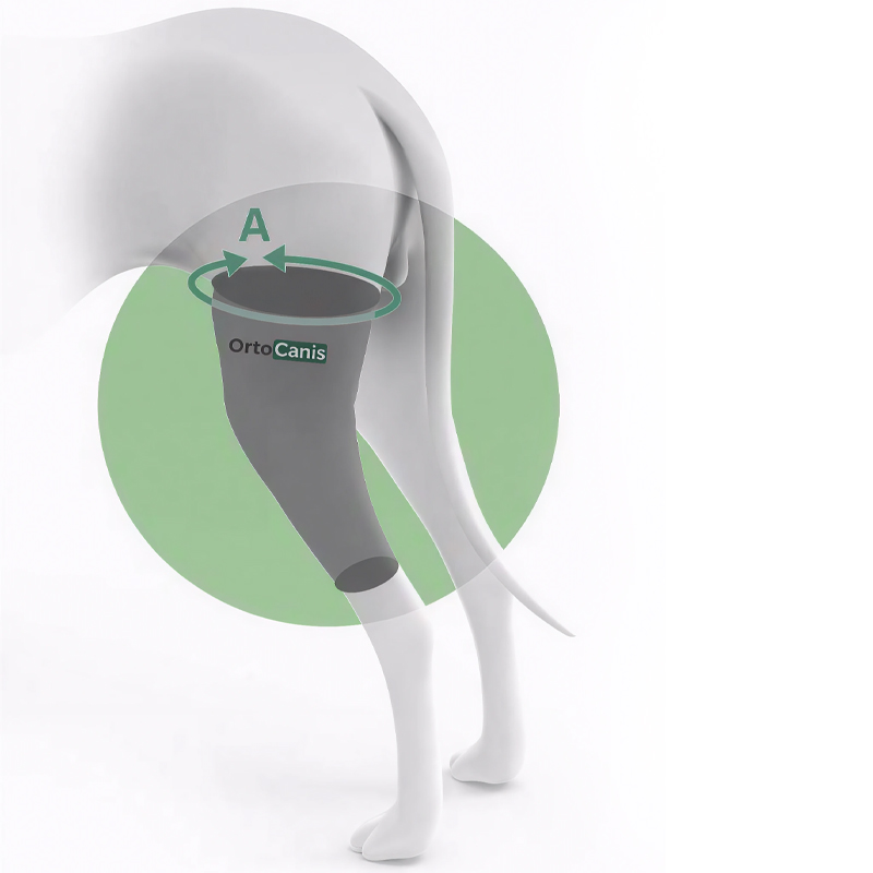 Talla correcta para tu perro Como elegir la talla inmovilizador rodilla para perros