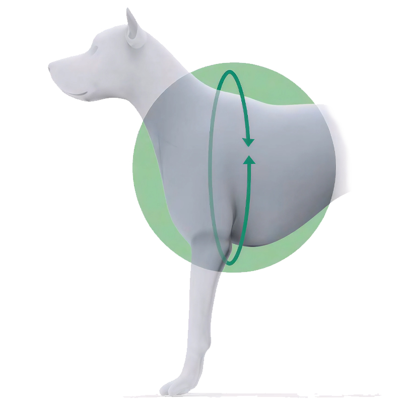 Arnés Integral Canino