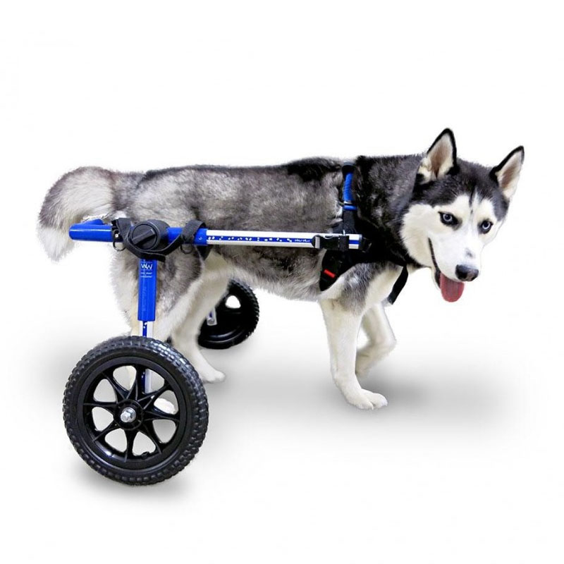 Silla de ruedas para perros grandes